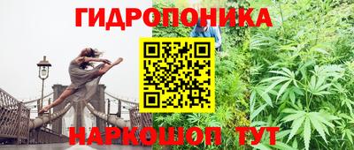 не бодяженный Жуковский