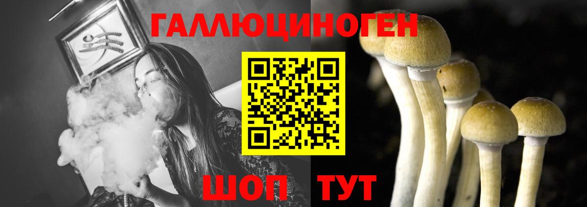 Псилоцибиновые грибы Psilocybine cubensis  Вход с VPN  Галлюциногенные грибы прущие грибы  Кашира 